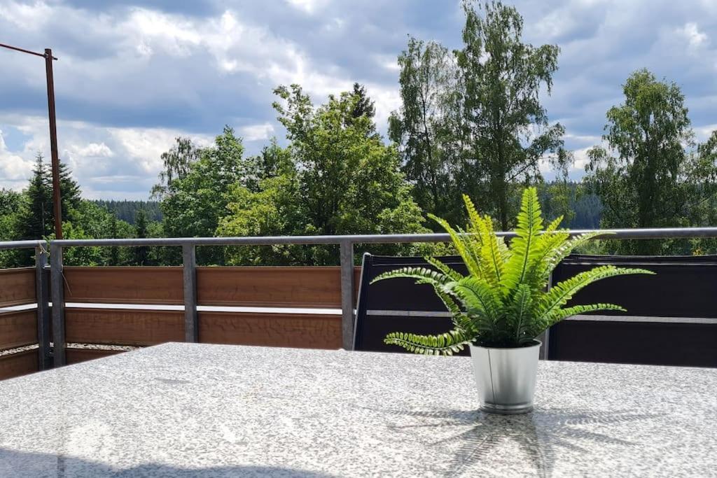 Апартаменты Pool, Sauna & Schwarzwald-Idylle Unterkirnach Экстерьер фото